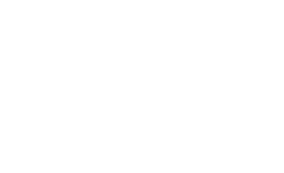 Llopis Zerari
